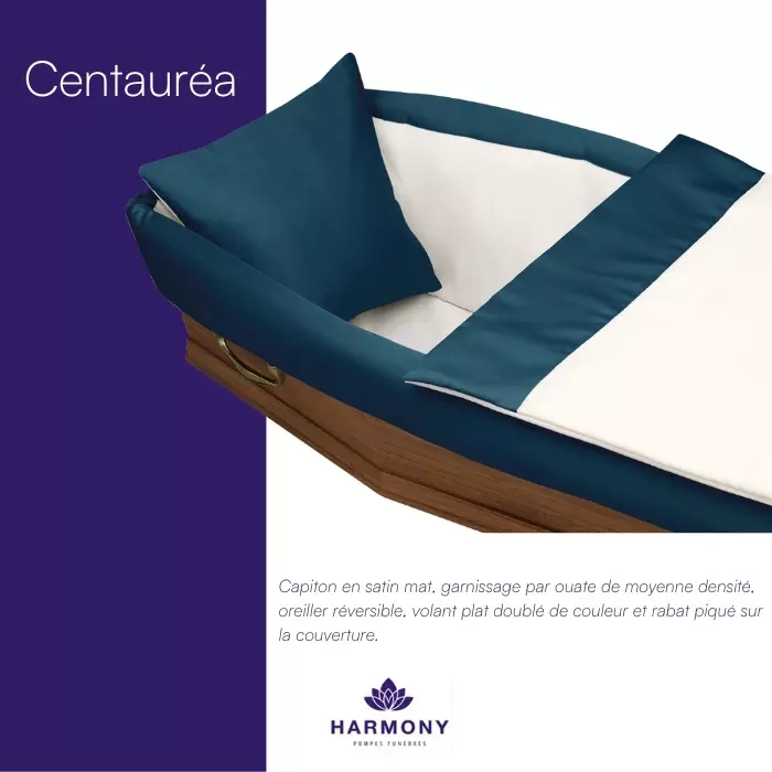 centuarea_capiton_harmony