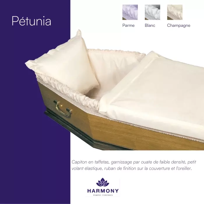 petunia_capiton_harmony